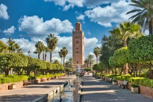 Où acheter un blender puissant à Marrakech Guide complet Amerykana 2025