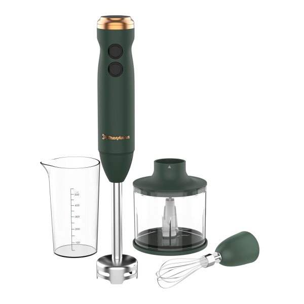 Mixeur Plongeant AHBV 987 GN