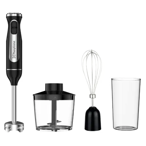 Mixeur Plongeant AHB 5405 SS BK